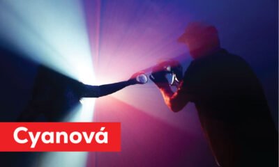 Cyanová: The Modern Color Concept That Feels Calm, Fresh, and Creative