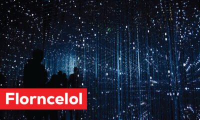 Florncelol: How a Simple Username Became Internet Famous