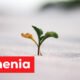 Ronenia: The Powerful Concept Behind Smart Growth and Creativity