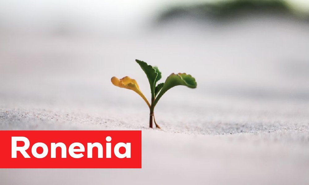 Ronenia: The Powerful Concept Behind Smart Growth and Creativity